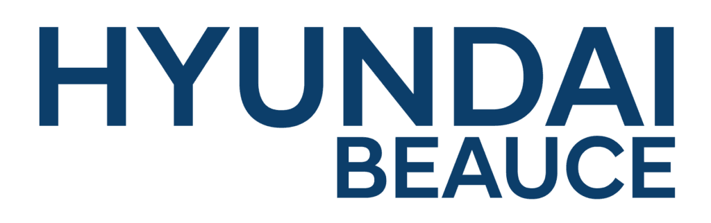 Hyunday Beauce_BLEU